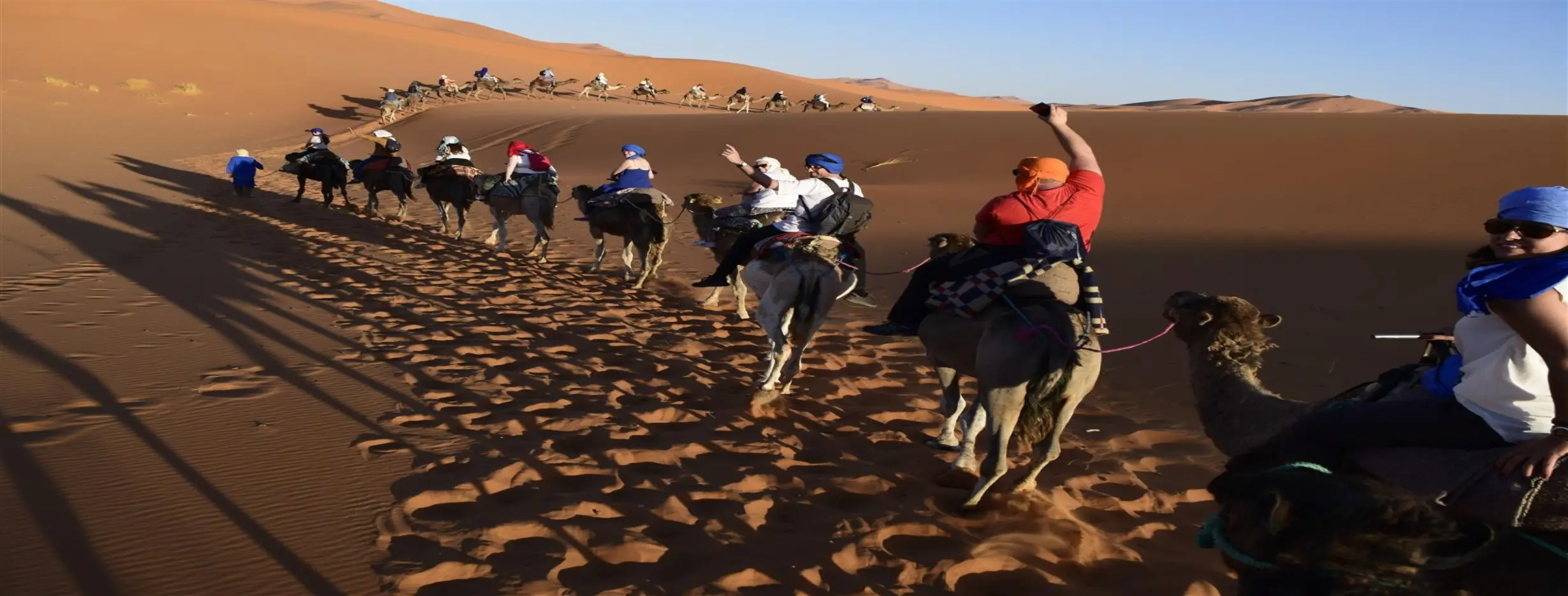 Image for Camel Trekking